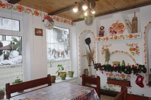 Украиночка 13