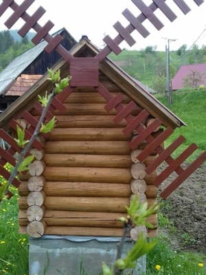 Усадьби возле Пилипца 10