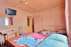 Частная усадьба В Еріки. Эконом 4-местный  1