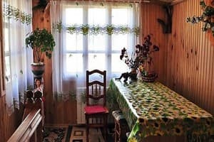 В Карпатах у Ксении 3