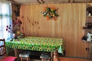 В Карпатах у Ксении 7