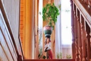 В Карпатах у Ксении 8