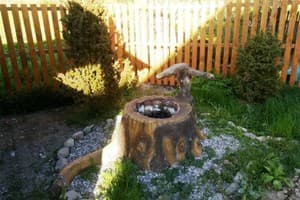 В гостях у гоцула 1