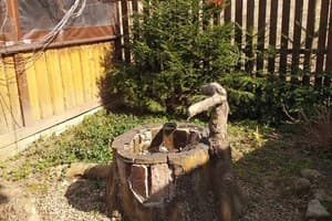 В гостях у гоцула 5