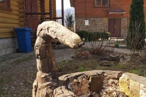 В гостях у гоцула 6