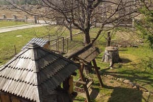 В гостях у гоцула 9