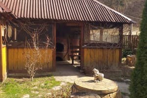 В гостях у гоцула 12