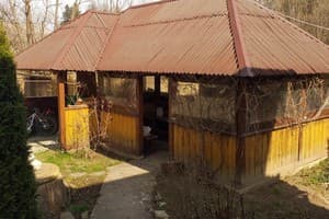 В гостях у гоцула 13