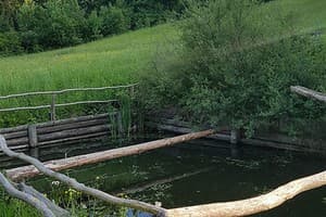 В медовом раю 18