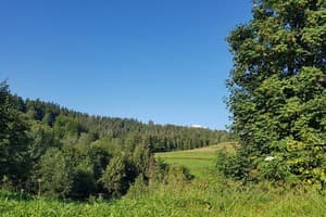 В медовом раю 5