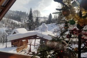 В медовом раю 8