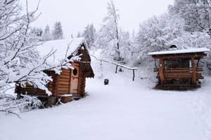 В медовом раю 10
