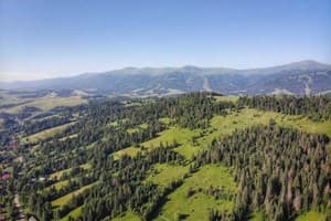 В медовом раю 1