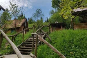 В медовом раю 6