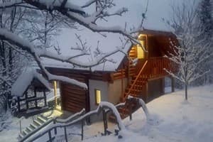 В медовом раю 6
