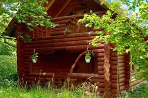 В медовом раю 1