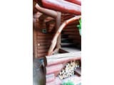 В медовом раю 16