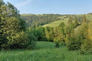 В медовом раю 28