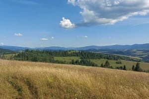 В медовом раю 29