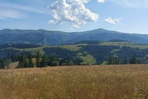 В медовом раю 30