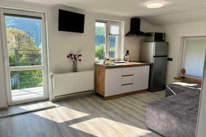 Коттедж VIO_apartment. Апартаменты 6-местный  11