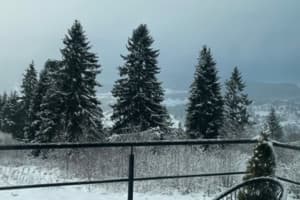 Valley Dream House 16