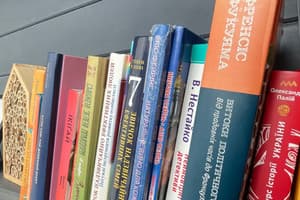 Valley Dream House 14