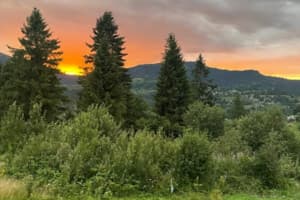 Valley Dream House 15