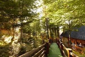 Ведмежа Гора 10