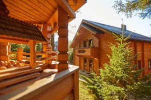 Ведмежа Гора 23