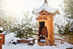 Ведмежа Гора 16