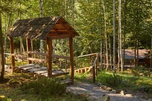 Ведмежа Гора 29