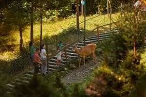 Ведмежа Гора 34