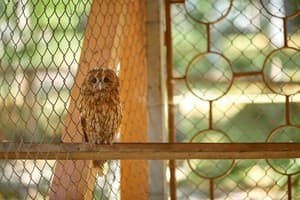 Ведмежа Гора 41