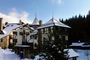 Вежа Ведмежа 1