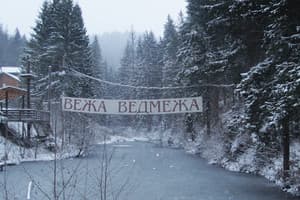Вежа Ведмежа 4