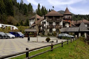 Вежа Ведмежа 14