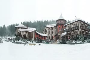 Вежа Ведмежа 15