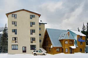 Велика Ведмедиця 8