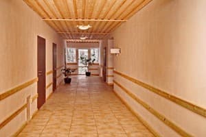 Велика Ведмедиця 9