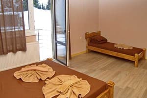 Велика Ведмедиця 20