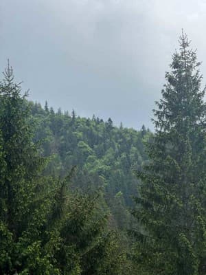 Верховинский фонтан 7
