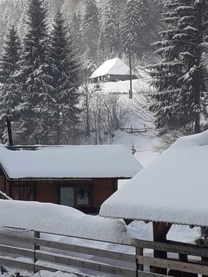 Верховинский фонтан 10