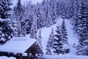 Верховинский фонтан 7