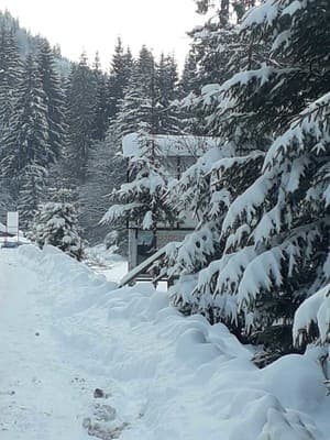 Верховинский фонтан 8