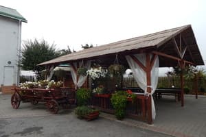 Викинг-Карпаты 4