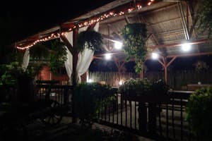 Викинг-Карпаты 13