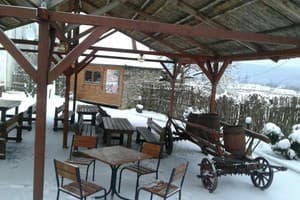 Викинг-Карпаты 1