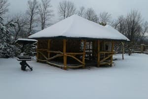 Викинг-Карпаты 1