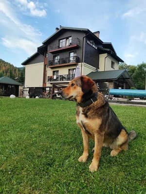 Villa Billa 11